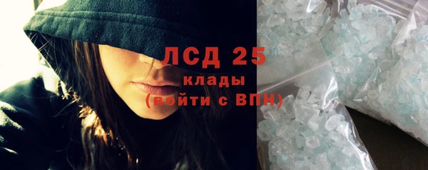 индика Козловка