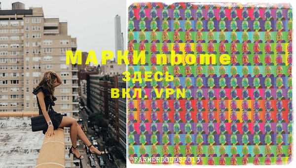 шишки Козельск