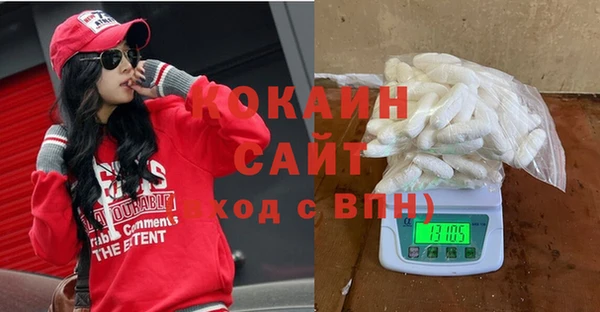 индика Козловка