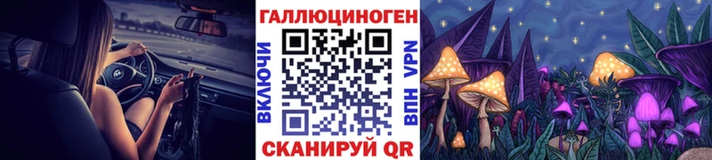 Купить где  Окуловка  Галлюциногенные грибы Cubensis 