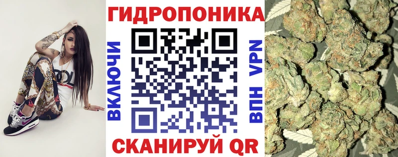 Бошки Шишки SATIVA & INDICA  Купить закладки  Окуловка 